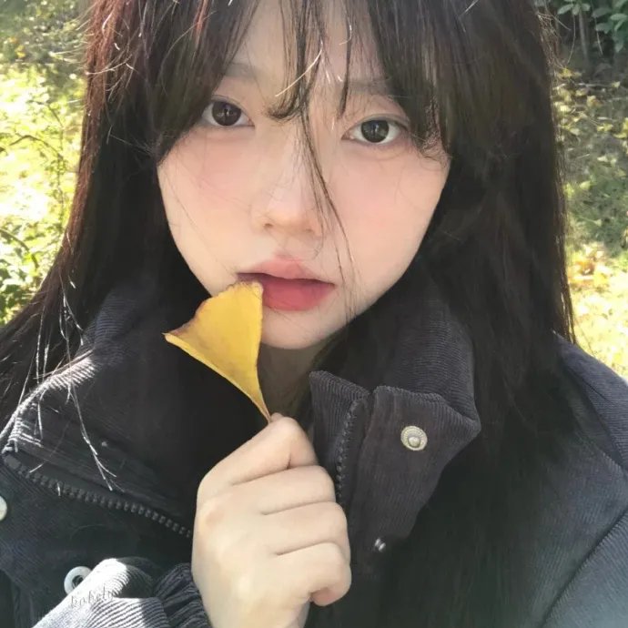 爱似朝阳